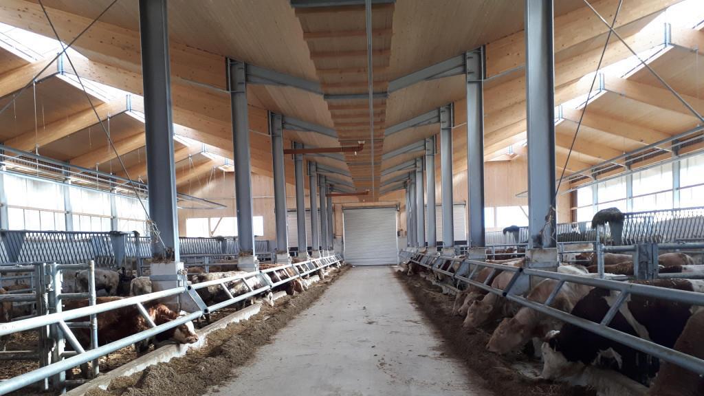 Friesachers neuer Stall in Anif