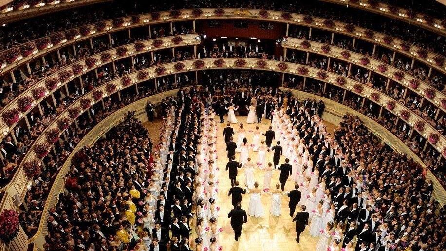 Opernball 2013: Debütanten