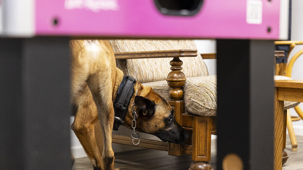 Datenspürhunde