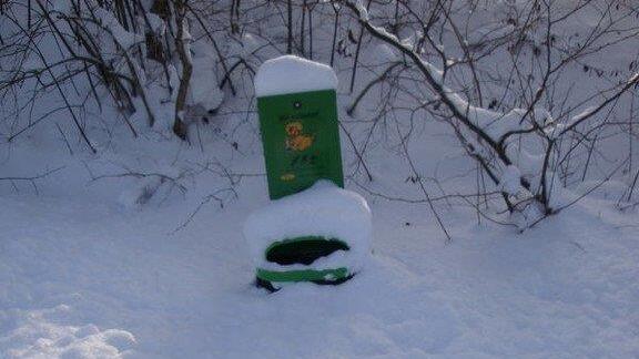 Winteridylle in Ebenau
