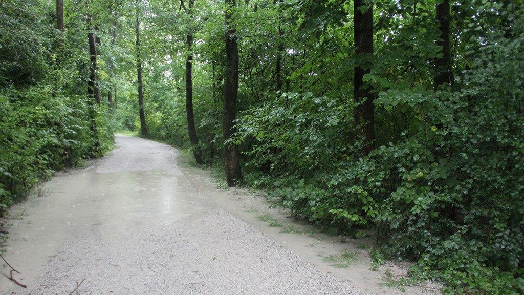 Hohe Pegel im Tennengau