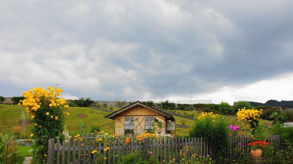 Spätsommer-Impressionen 1