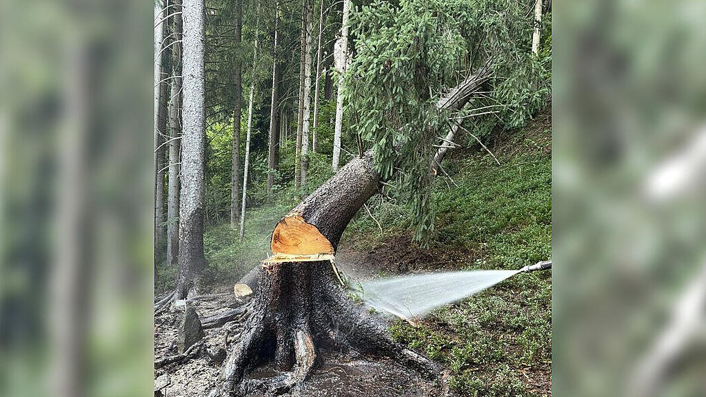 Brand Stuhlfelden