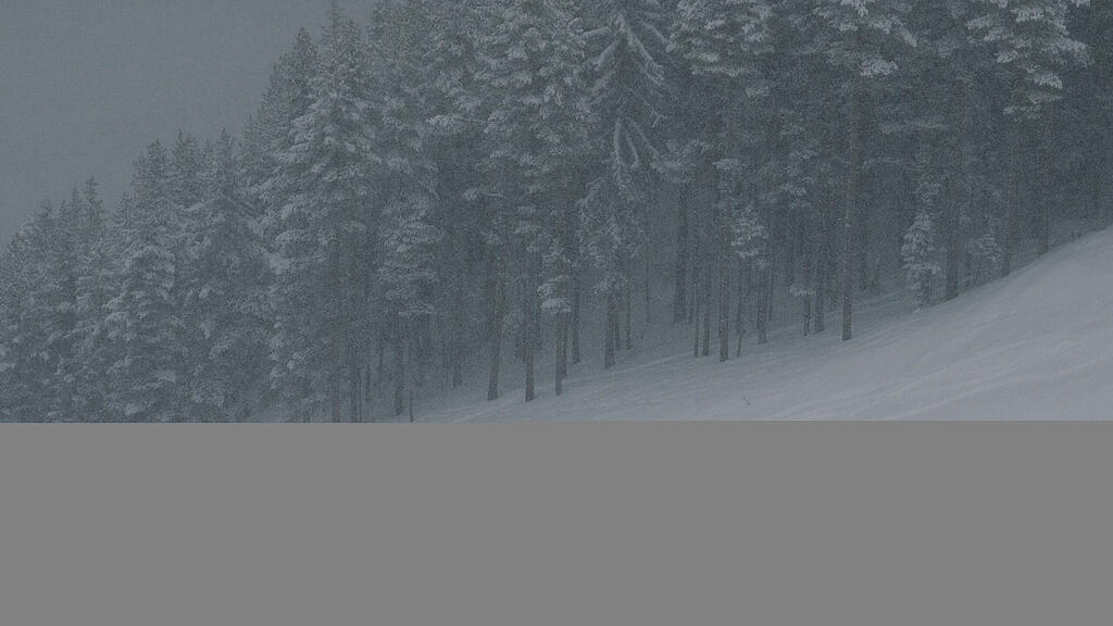 Bansko