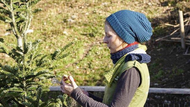 Warten aufs Christkind im Zoo
