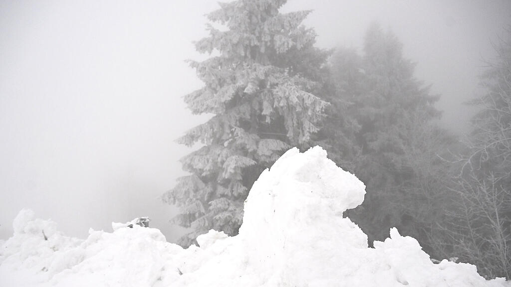 symb_winter_schnee