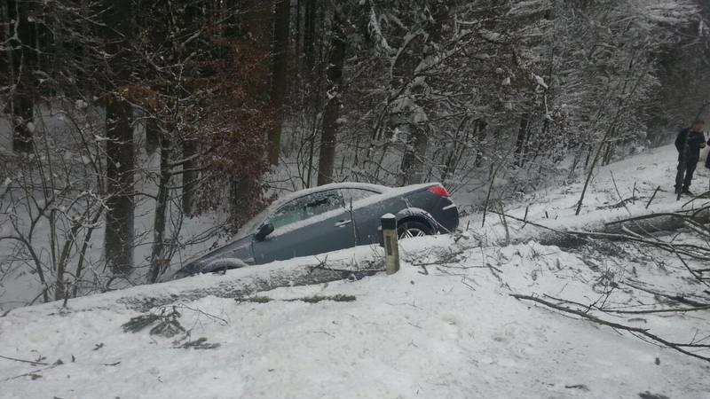 Baum in Michaelbeuern umgestürzt: Straßensperre