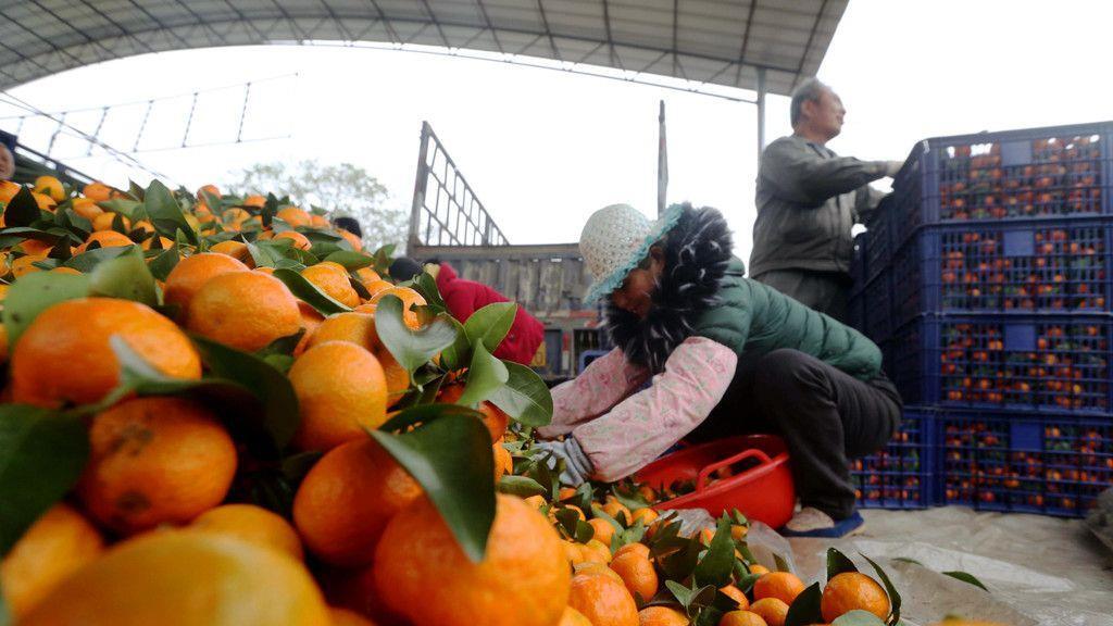China feiert das Jahr des Hahns
