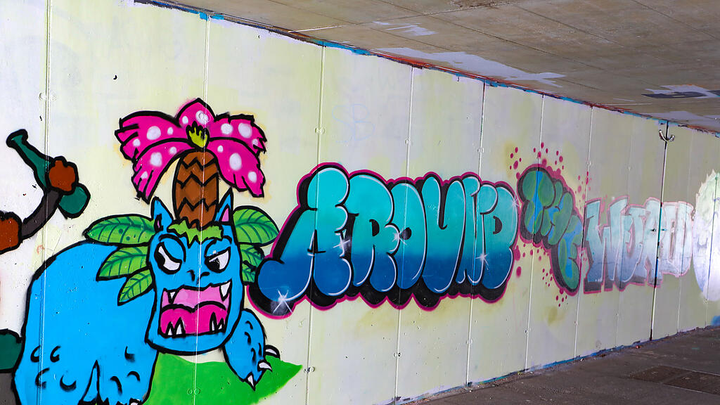 Graffiti in der Stadt Salzburg