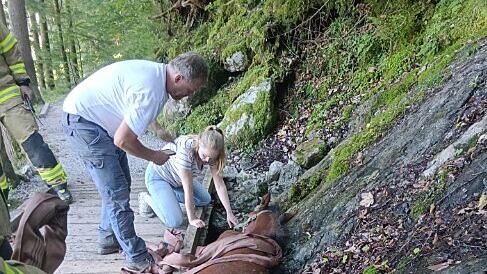 Tierrettung St. Martin bei Lofer