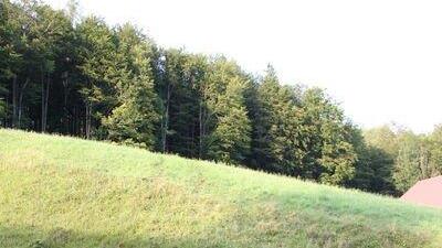 Bilder der Bergung