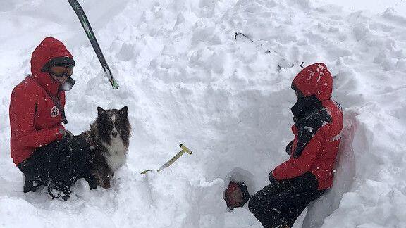 Lawinensuchhunde üben Ernstfall
