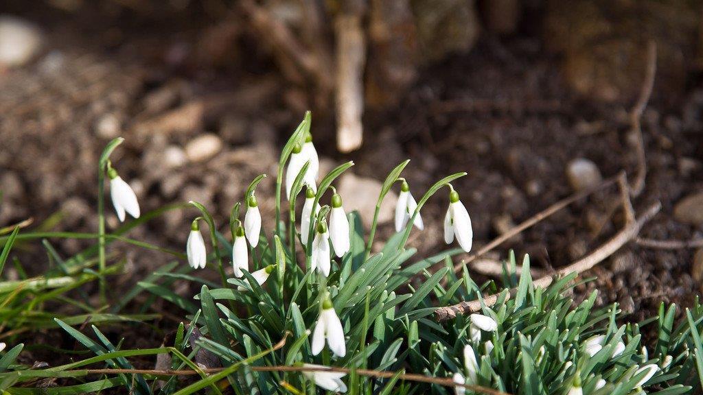 Frühling in Salzburg