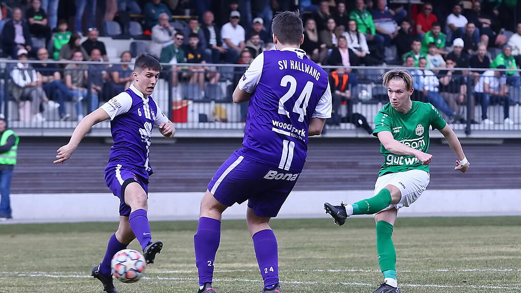Hallein, Hallwang, Salzburger Liga, Leitensdorfer