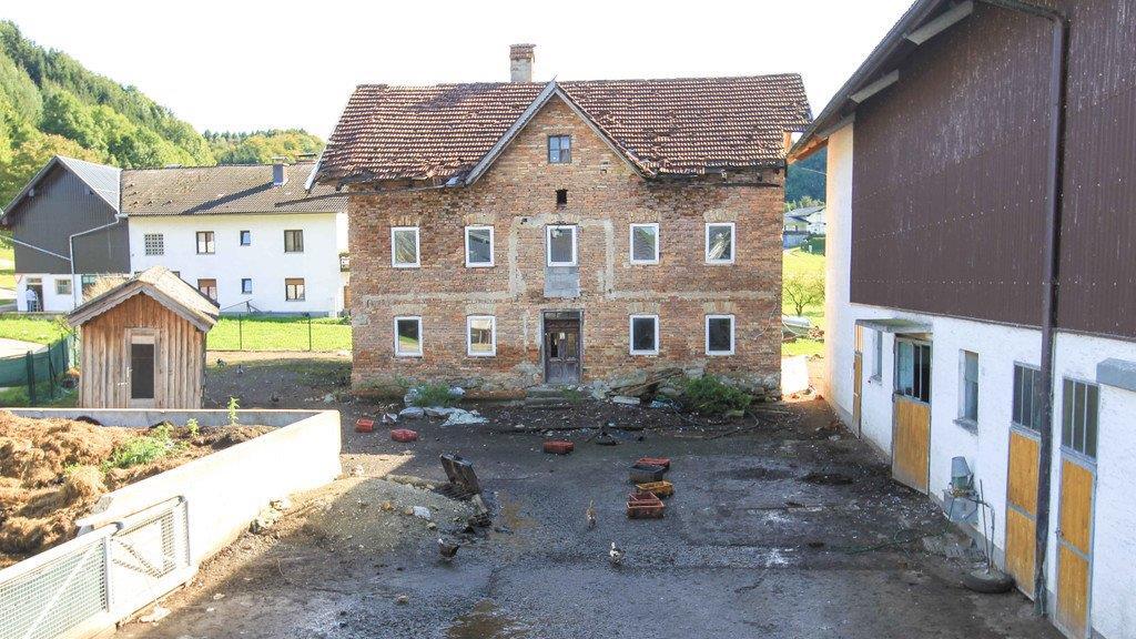 Verwahrloste Tiere in OÖ