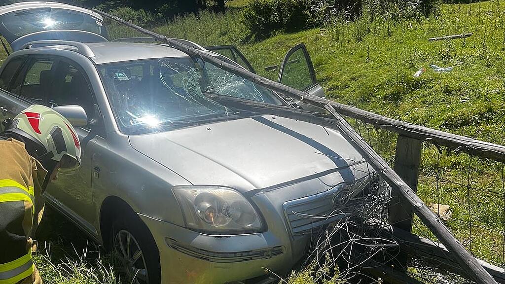 Auto kommt von B99 ab und durchbricht Heckenzaun