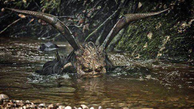 Mit 314 Likes wurde dieses Bild im Vorjahr zum besten Krampusfoto 2014 gekürt.