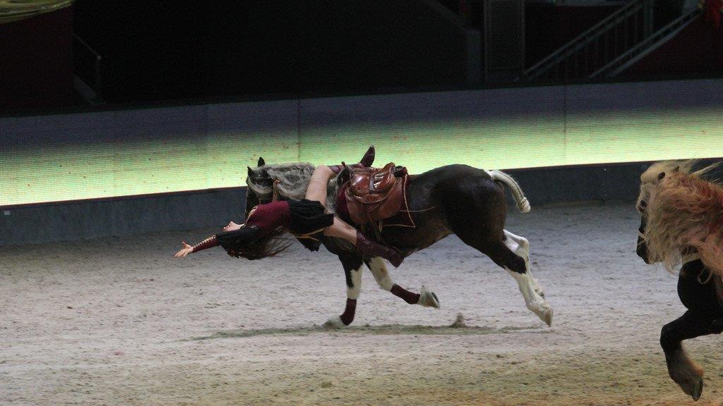 Mevisto Amadeus Horse Indoors 2014 in der Salzburgarena