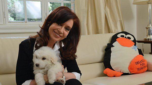 Ab 2015 hat Kirchner mehr Zeit für Hund "Simon"