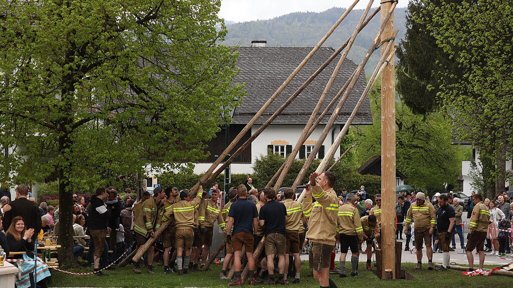 Maibaumaufstellen in Anif