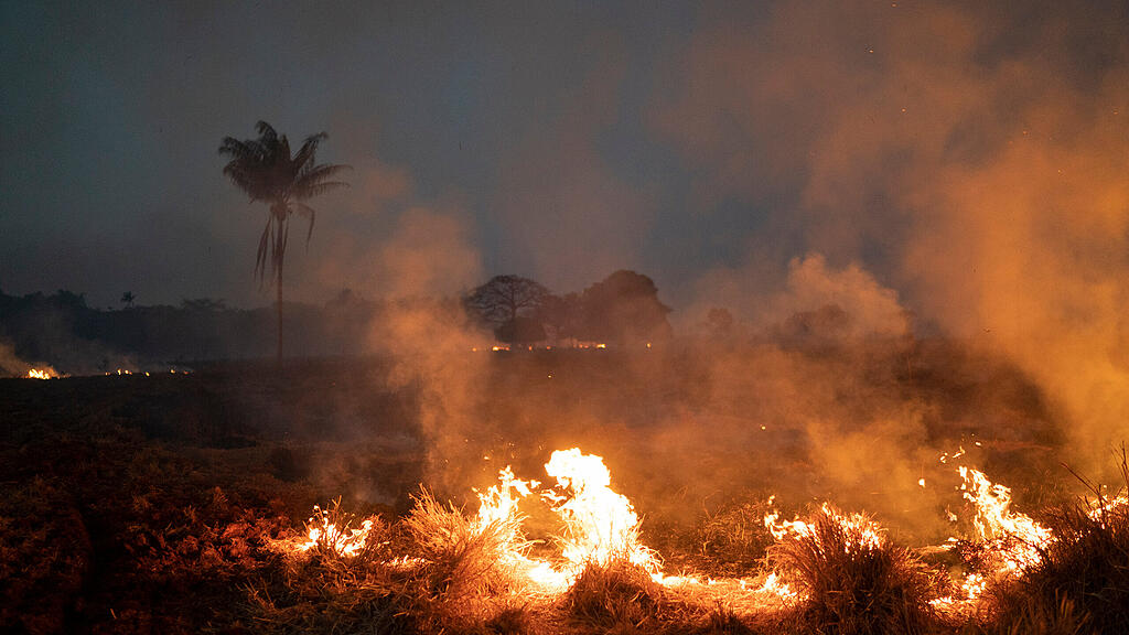 Waldbr\u00e4nde in Brasilien