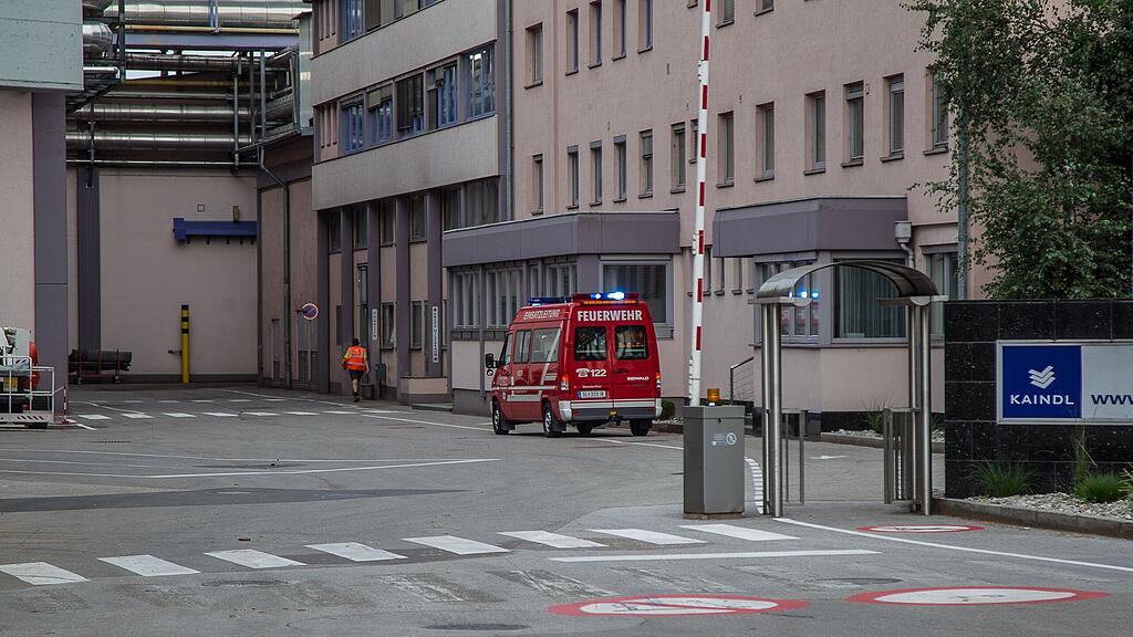 Die Feuerwehren waren rasch zur Stelle.