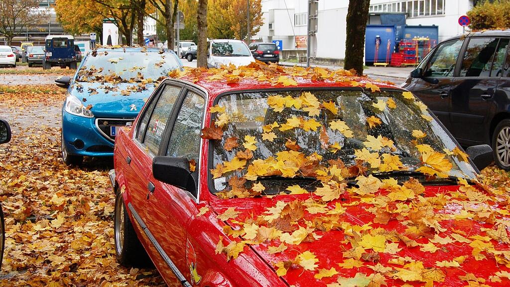 Herbstlaub kann Probleme im Auto verursachen.