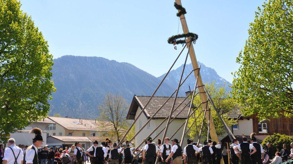 Maibaumaufstellen in Piding und Ainring