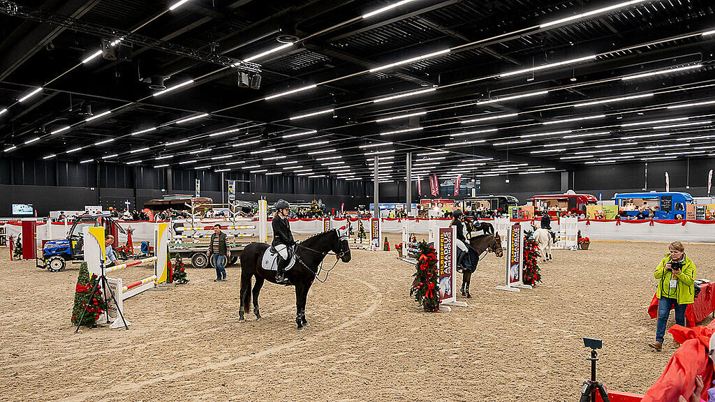 Amadeus Horse Indoors 2023