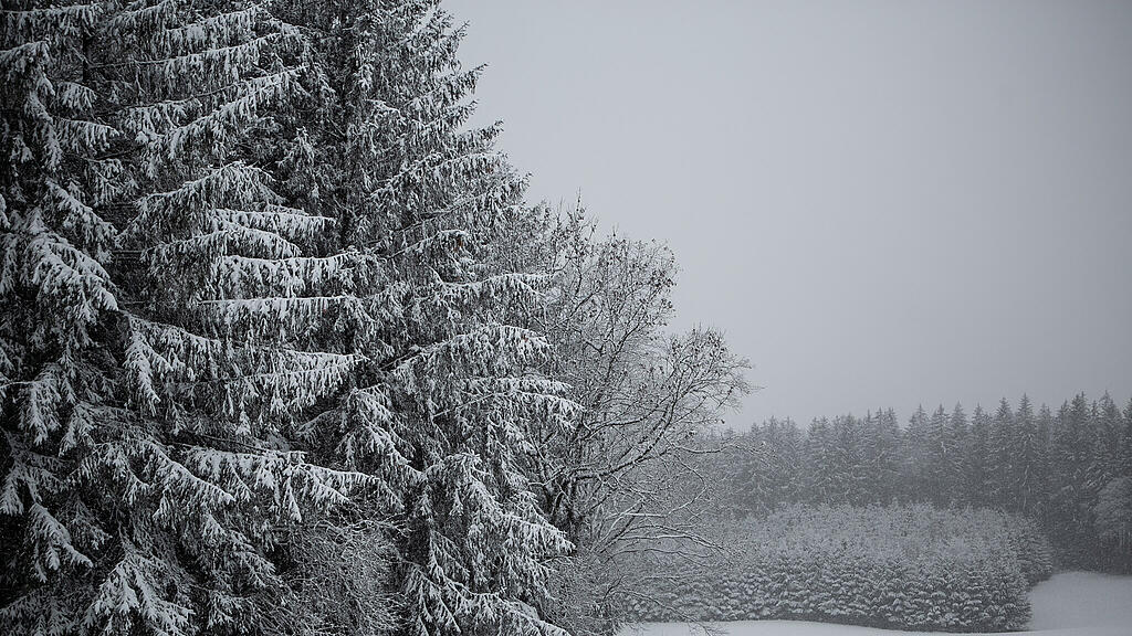 Schnee am Haunsberg