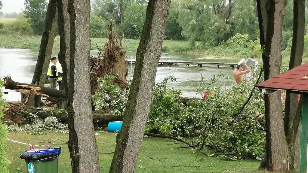 Kinder von Baum erschlagen