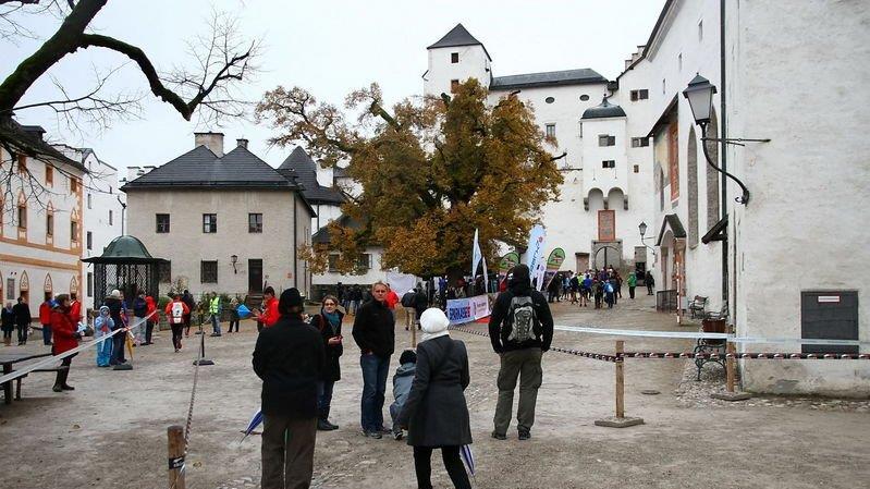 Bilder vom Lauf