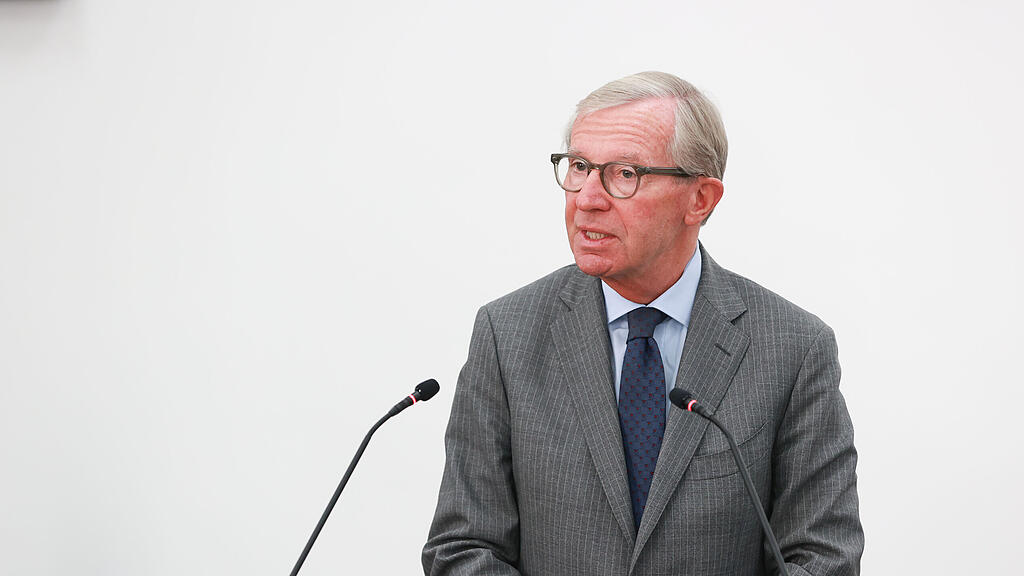 haslauer hearing salzburger landesregierung