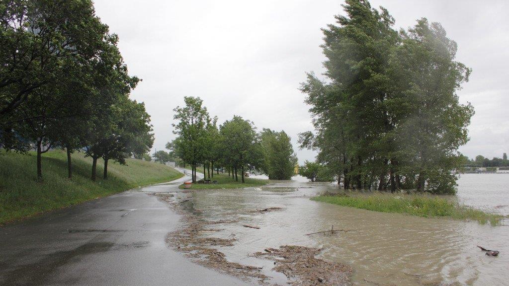 Hochwasser in Wien (Copa Cagrana)