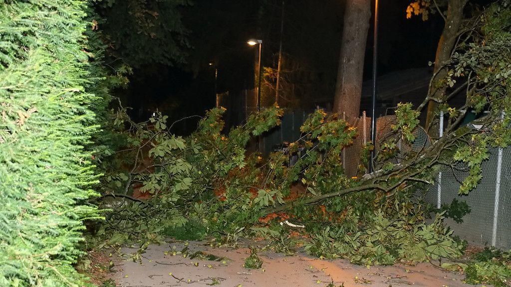 Sturm: Feuerwehren in Salzburg im Großeinsatz