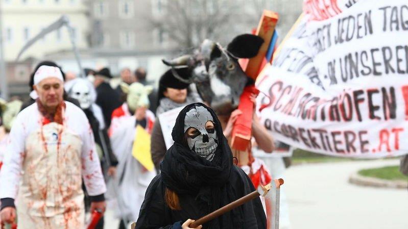 Tierrechtsdemo in Salzburg