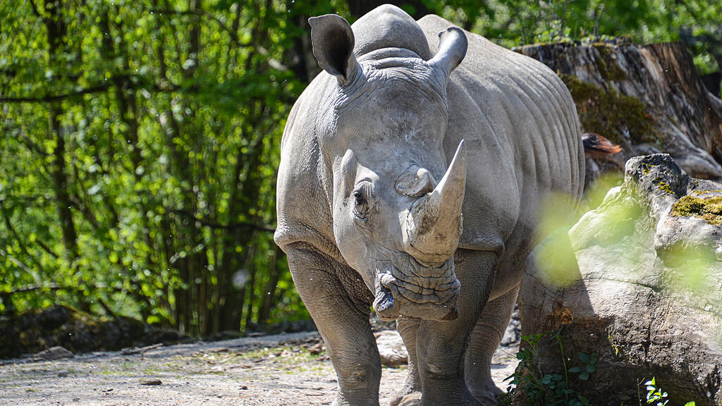 Zoo Salzburg