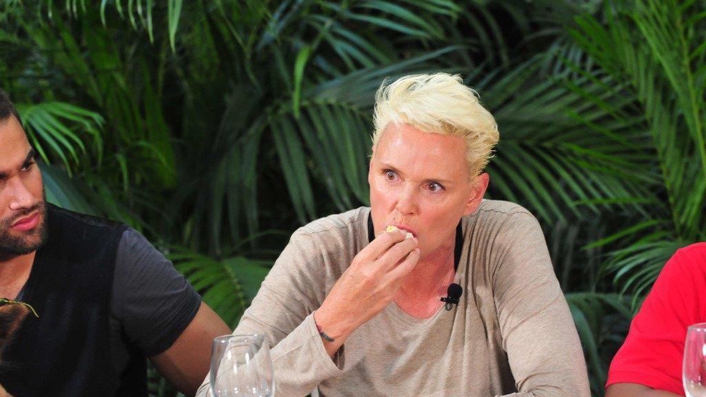 Dschungelcamp 2016: Tag 1 Sophia und Menderes in der Prüfung