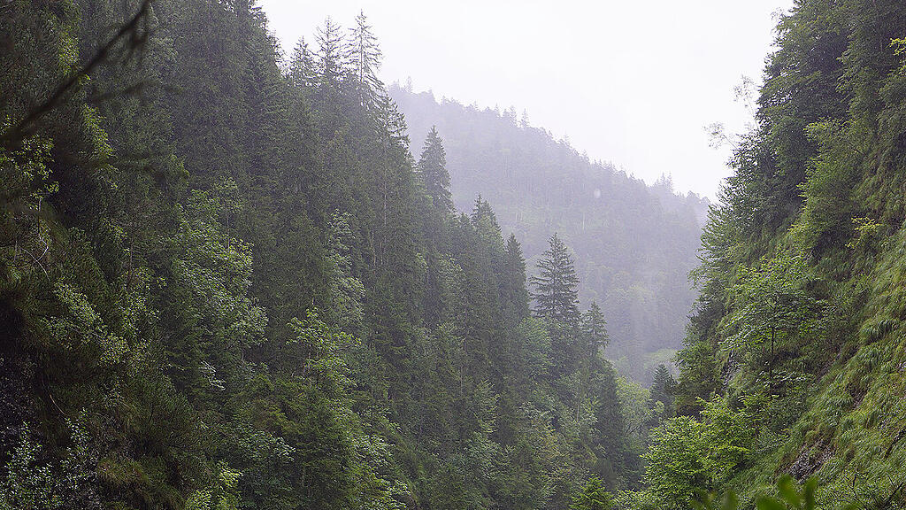 Rettungsaktion Weißbachschlucht