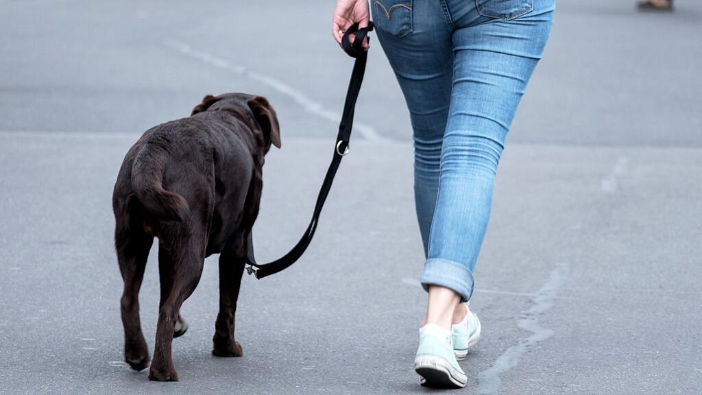 Die 21-Jährige konnte ihren Hund wieder mit nach Hause nehmen.