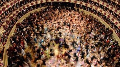 Opernball 2013: Die Eröffnung