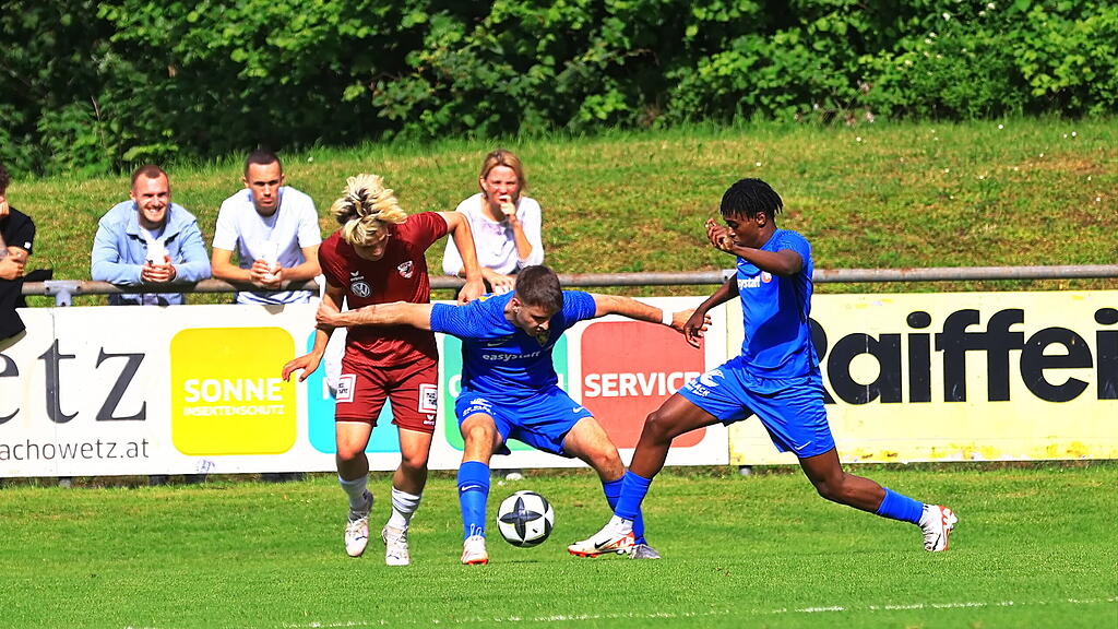 Anif vs. SAK 1914