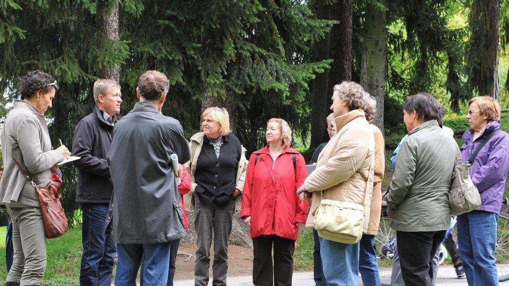 Stadt:Dialog zur Baumpflege
