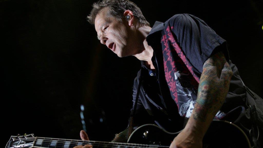 Frequency 2013: Die Toten Hosen