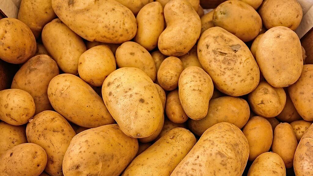 symb_kartoffeln
