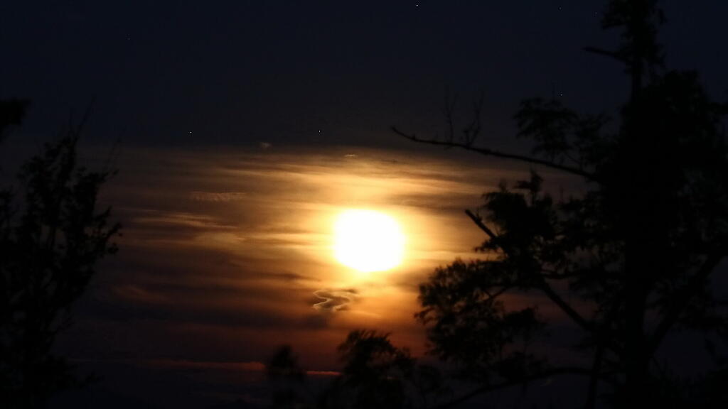 Roter Mond, Salzburg