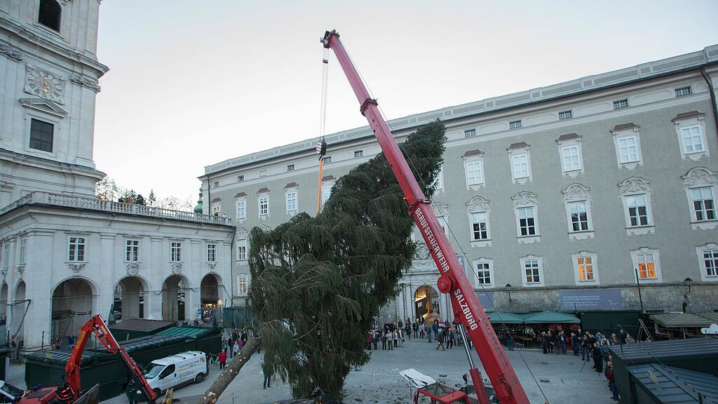 Aufgestellt wird der Baum wieder von der Berufsfeuerwehr Salzburg.