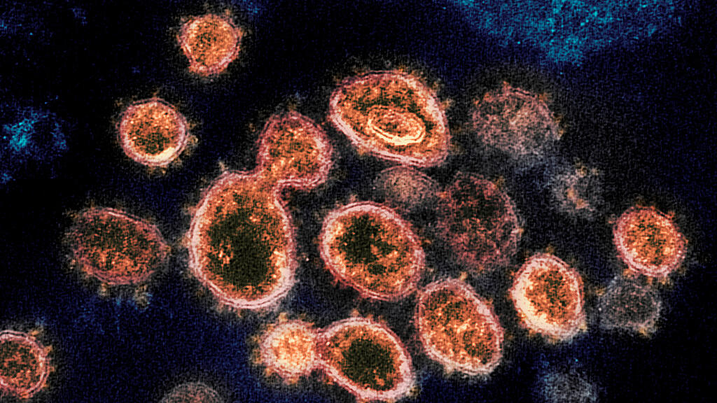 Coronavirus Aerosole, SB
