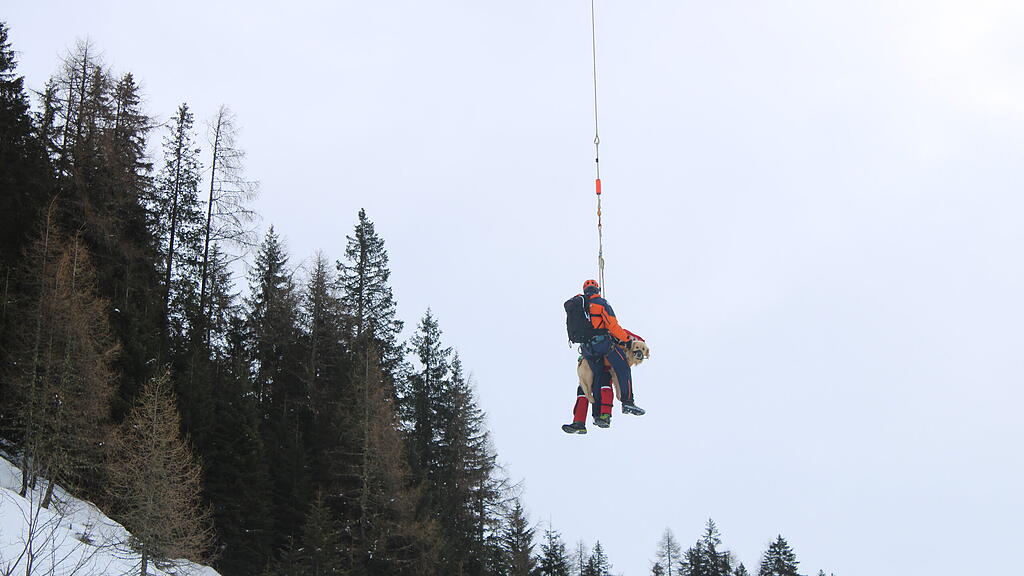 Lawinenhunde Bergrettung Training
