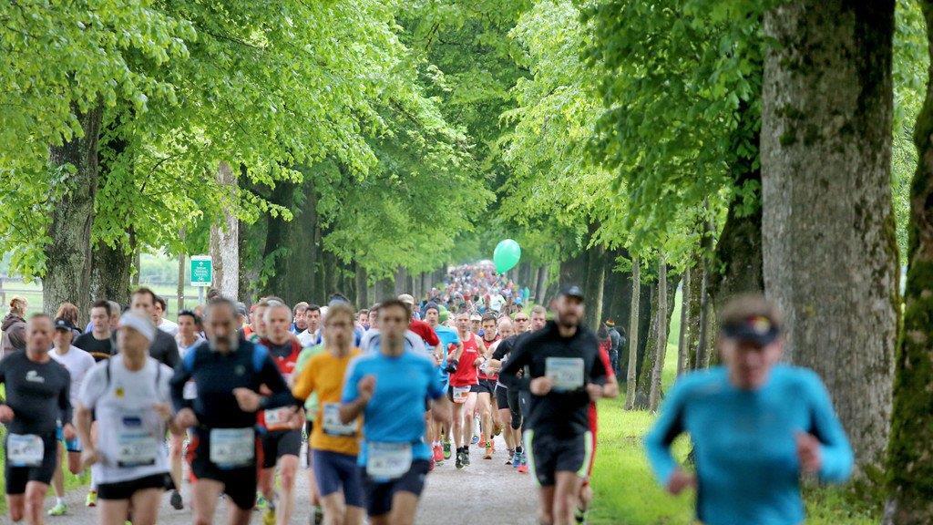 11. Salzburg-Marathon I